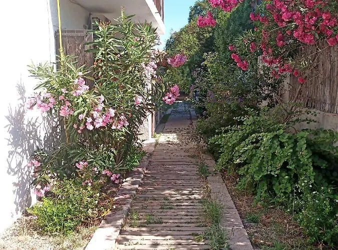 Nadina Sant'Andrea (Sardinia)